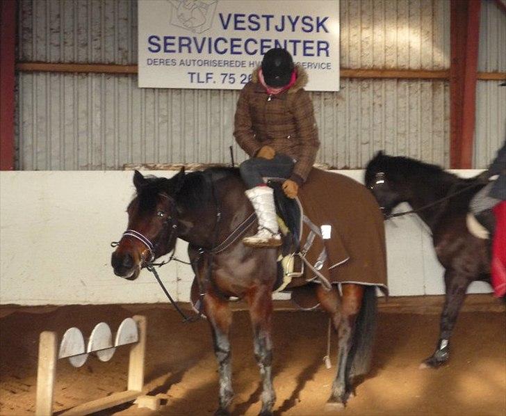 Dansk Varmblod Buegårds Venus solgt :'( - alt hvad vi gør sammen, gør vi så godt som vi kan.. billede 15