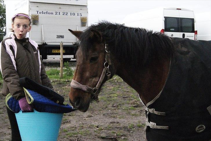Anden særlig race Solbakken´s Bella ~HængeMule~ - iiih skønne tøzer!<3 billede 9