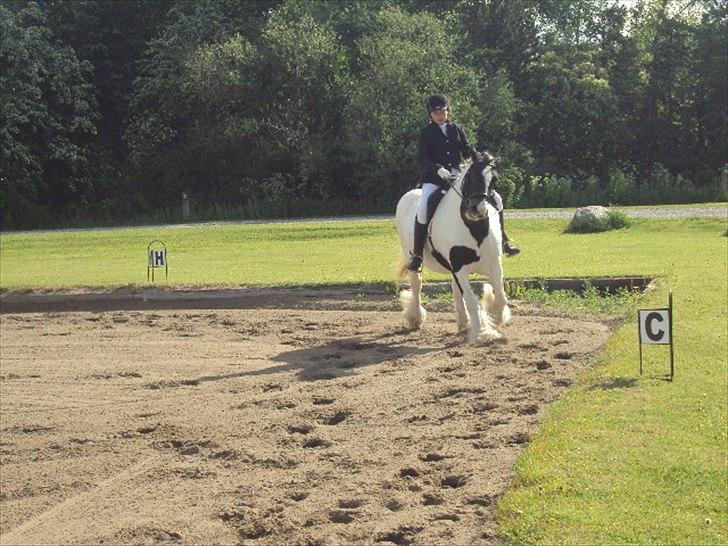 Tinker Dolly billede 12