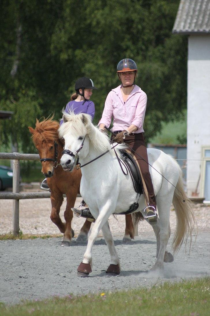 Islænder KRISSA FRA ASHØJ - min mor og krissa. billede 8