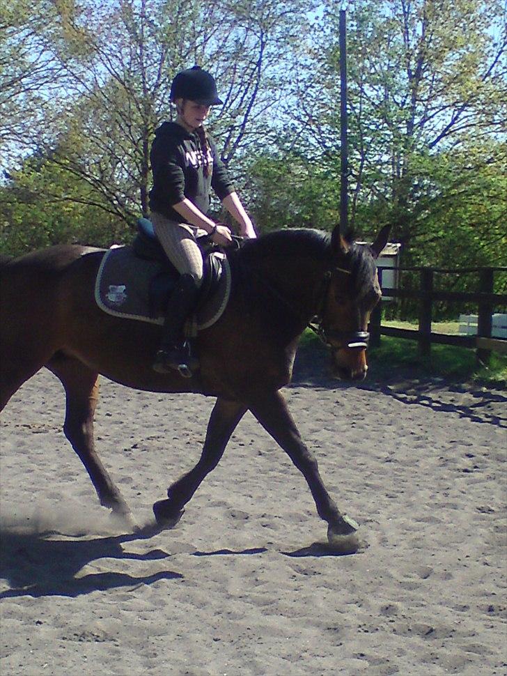 Anden særlig race Liva the Diva *R.I.P.* - Dressur træning, super god heeeeeest :D billede 11