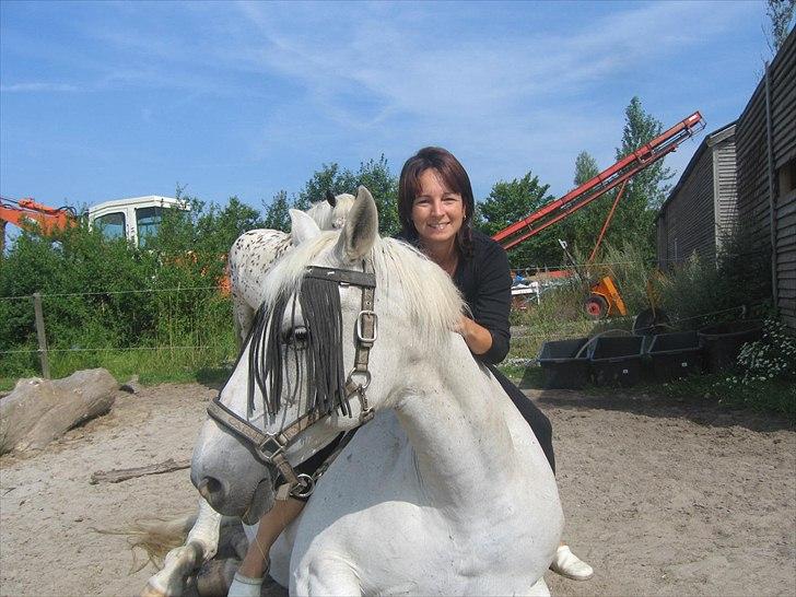 Anden særlig race Queenie* R.I.P.* billede 15