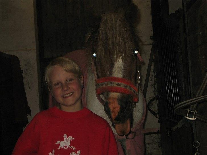 Shetlænder prinsesse - mig og sesse billede 13