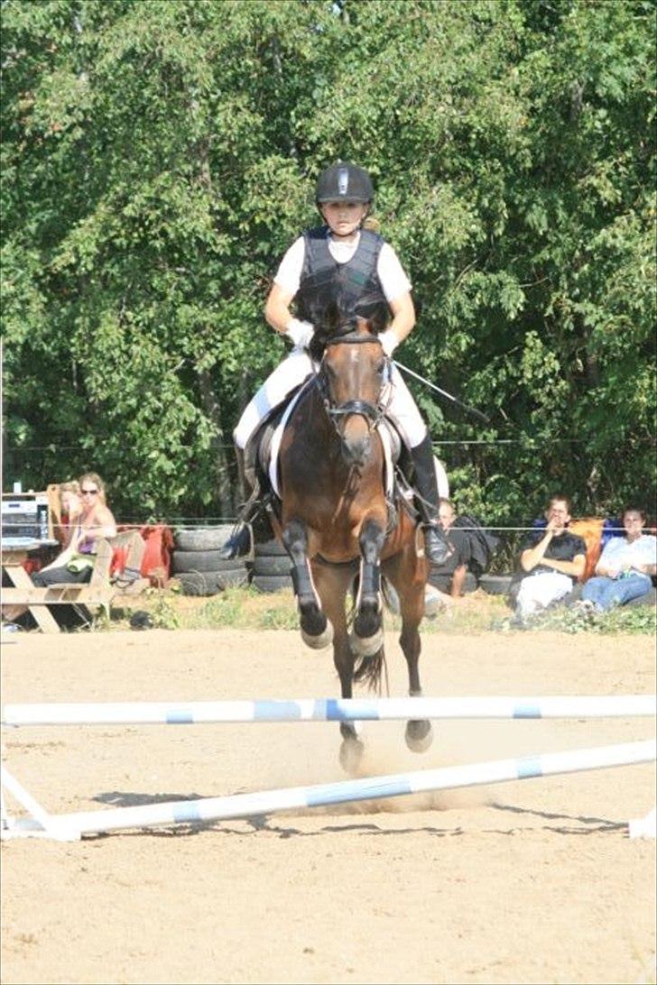 Anden særlig race Tequila alias La Amia billede 1