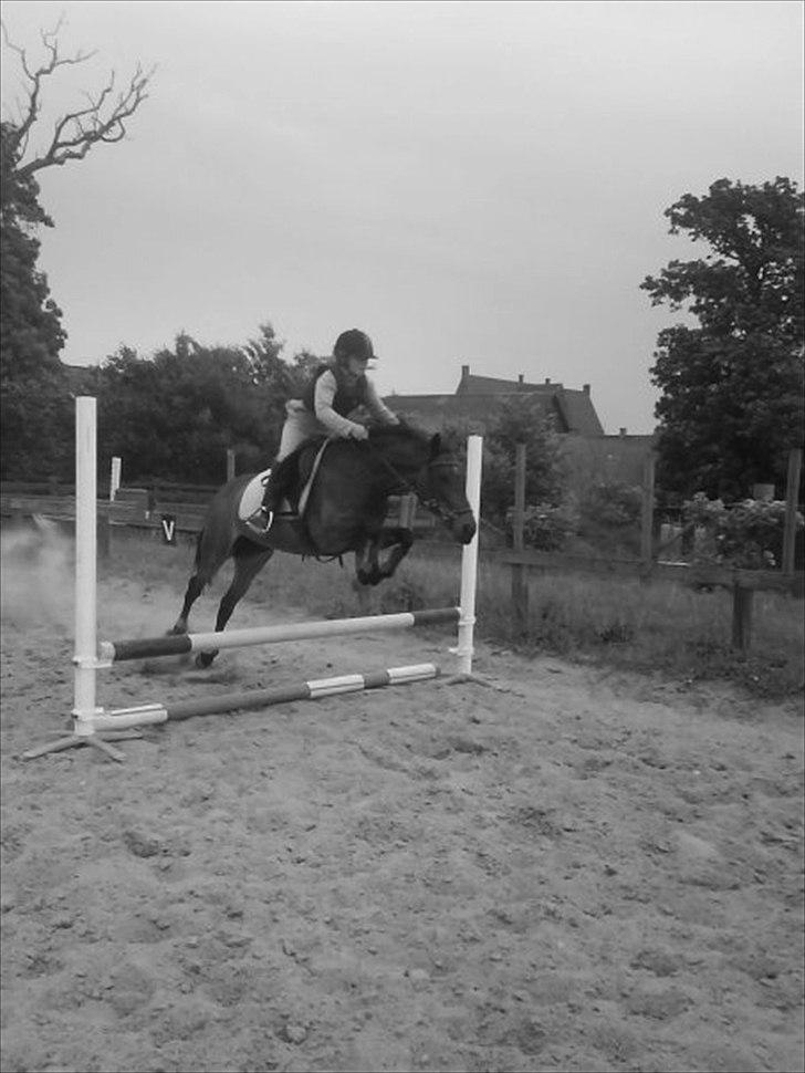 Anden særlig race Tequila alias La Amia billede 2