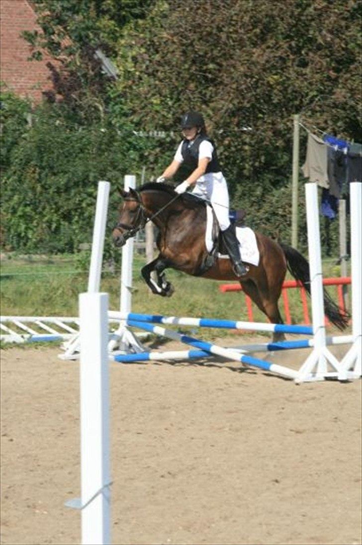 Anden særlig race Tequila alias La Amia billede 3