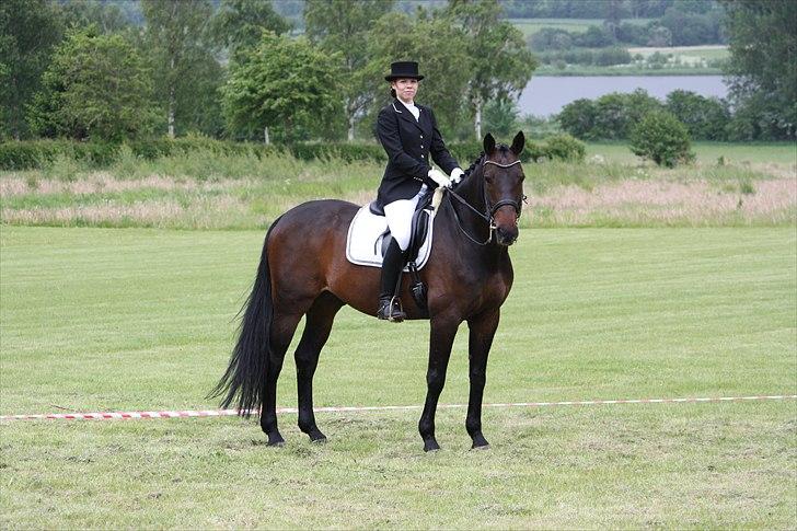 Oldenborg Don Chateaú billede 6