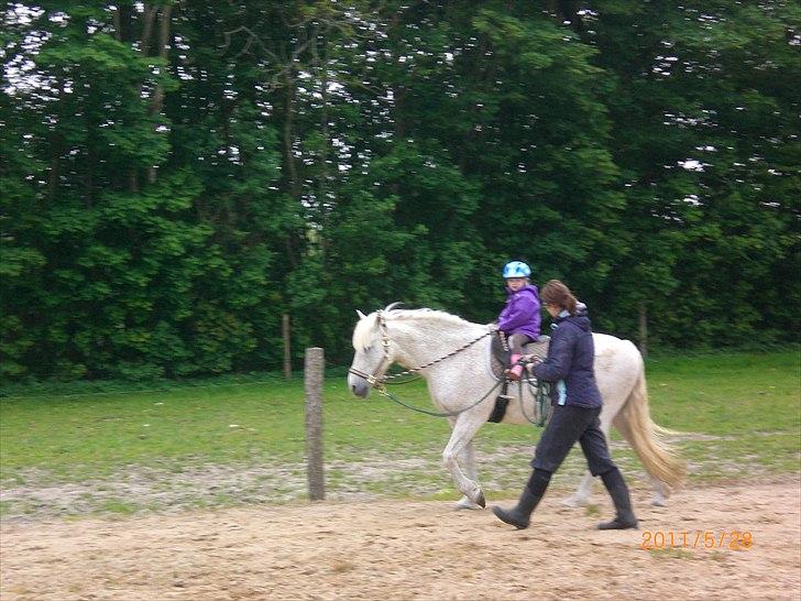 Anden særlig race Ragna billede 18