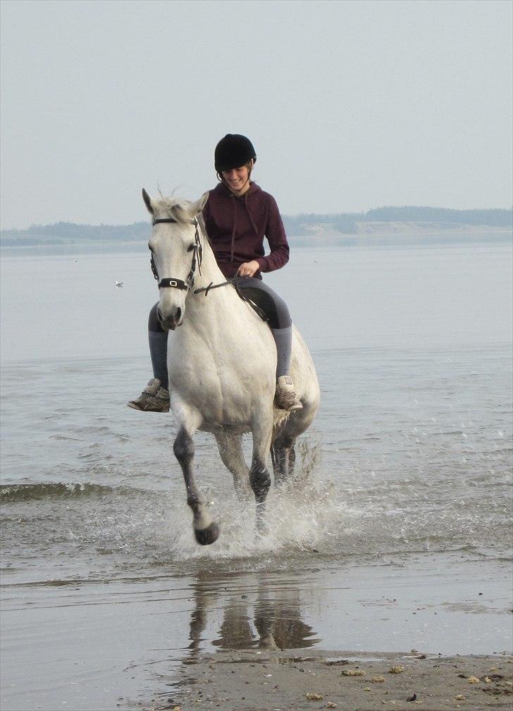 Anden særlig race Marquia - Foto: Britt :) billede 4