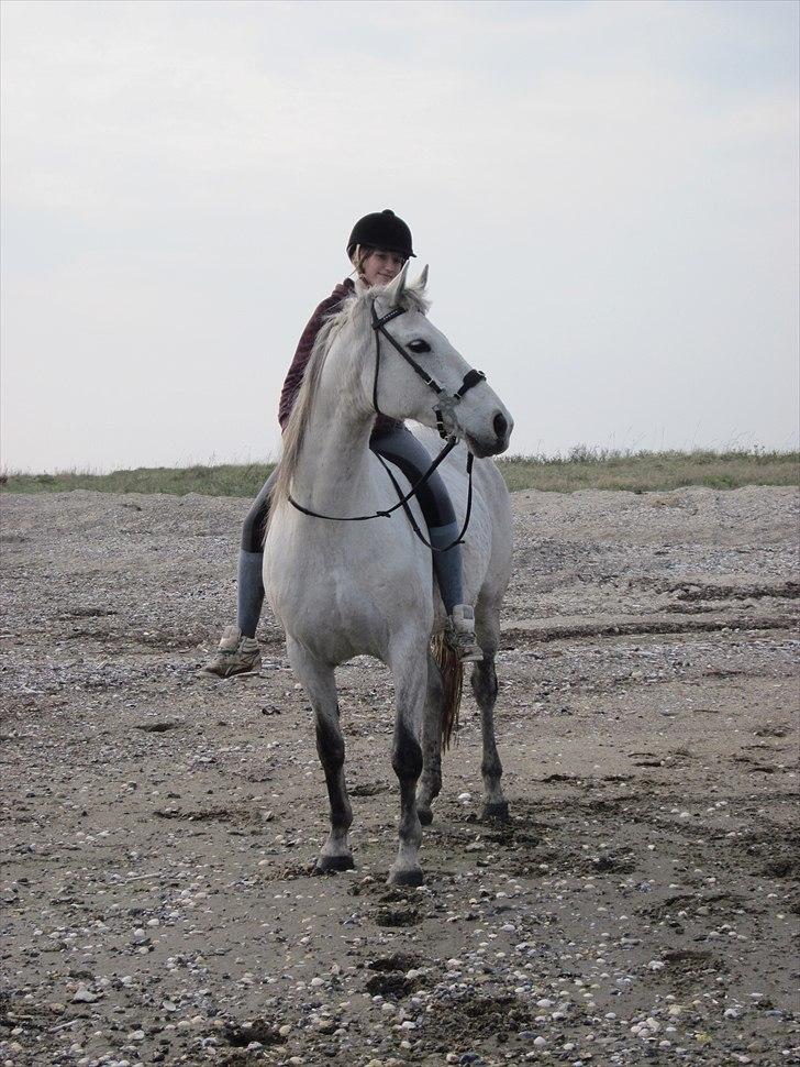 Anden særlig race Marquia - Foto: Britt :) billede 6