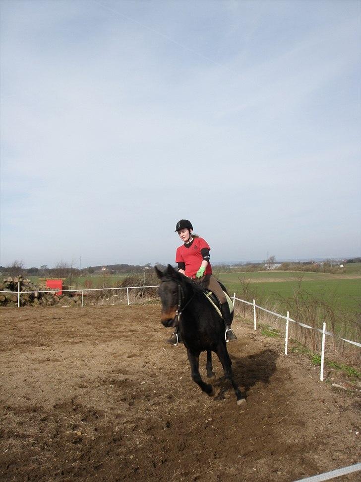 Oldenborg Rosita - #8 billede 8