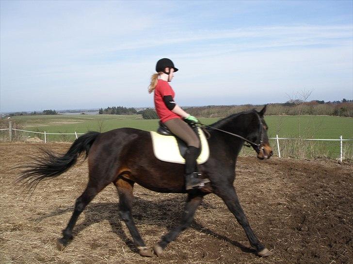 Oldenborg Rosita - #10 billede 10