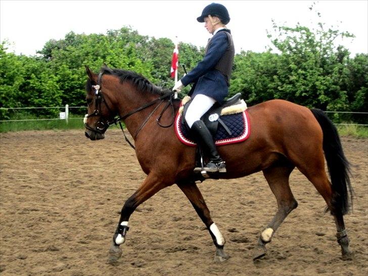 Anden særlig race Christiansejes Peanut - billede 10. Stævne i Krikkerne. fotograf: Nadia billede 6