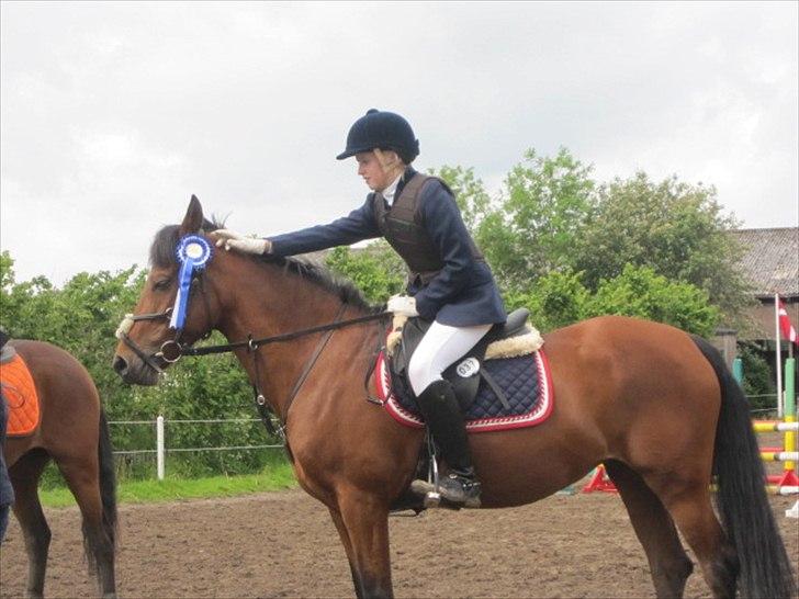 Anden særlig race Christiansejes Peanut - Billede 13. En anden plads i LB:) fotograf: ? billede 8