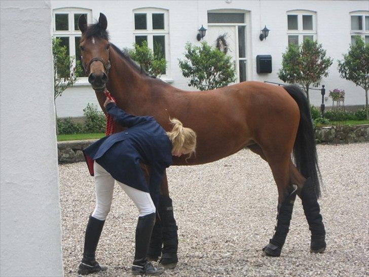 Anden særlig race Christiansejes Peanut - Billede 16. Så er vi endelig hjemme igen:) fotograf: AL billede 10