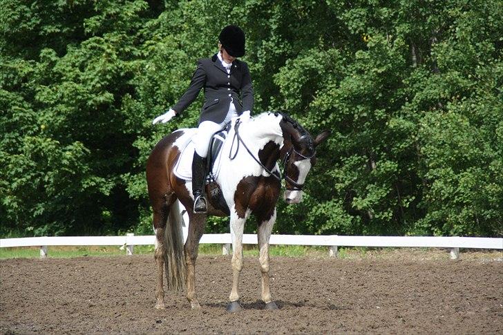 Pinto Hoelgaard´s Uriada M billede 13