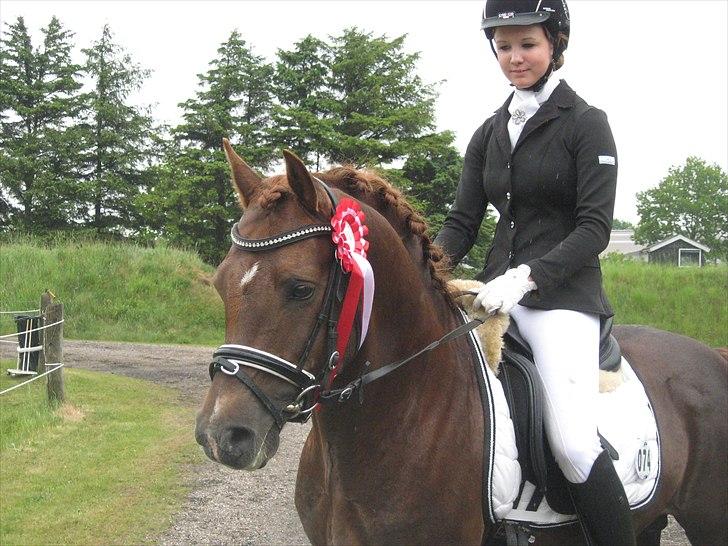 Welsh Pony (sec B) Eilunds Spartan  - Smølf der lige  har vundet sin første klasse og er godt på vej til at blive RibeMester 2011 billede 1