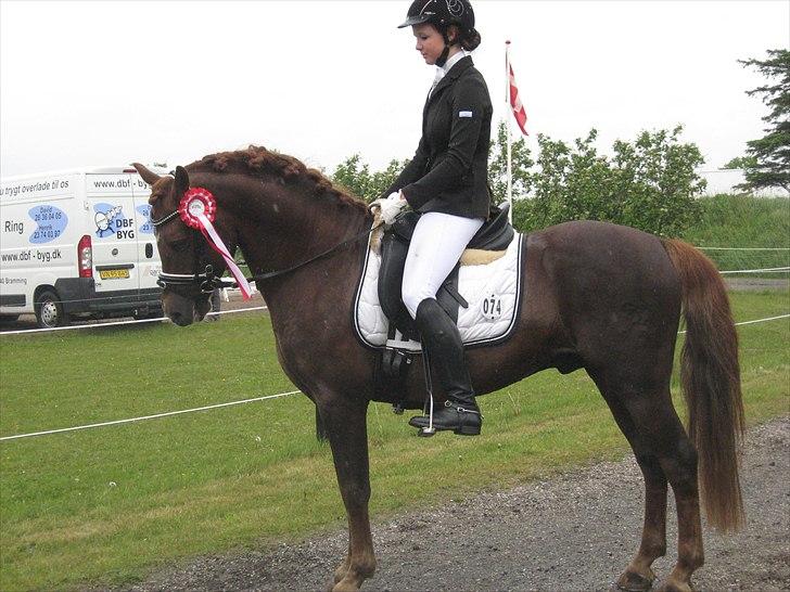 Welsh Pony (sec B) Eilunds Spartan  - Smølf der lige  har vundet sin første klasse og er godt på vej til at blive RibeMester 2011 billede 2