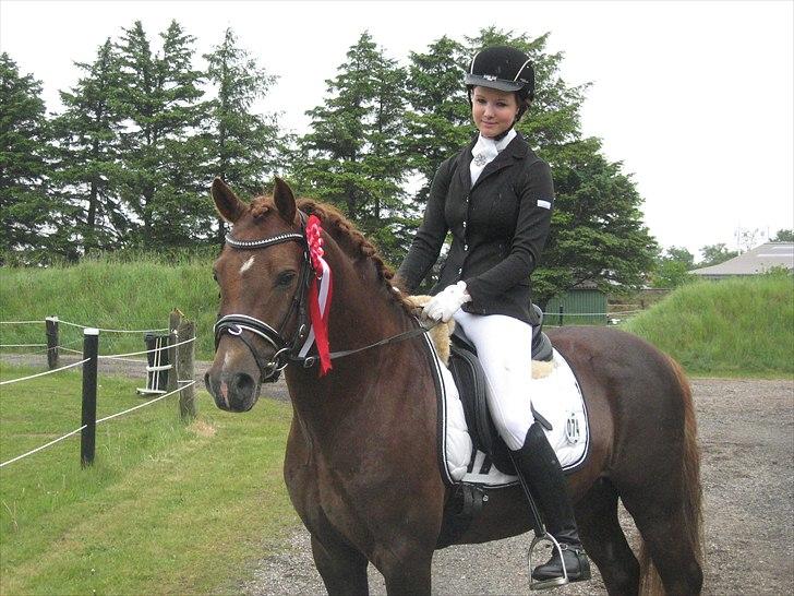 Welsh Pony (sec B) Eilunds Spartan  - Smølf der lige  har vundet sin første klasse og er godt på vej til at blive RibeMester 2011 billede 3