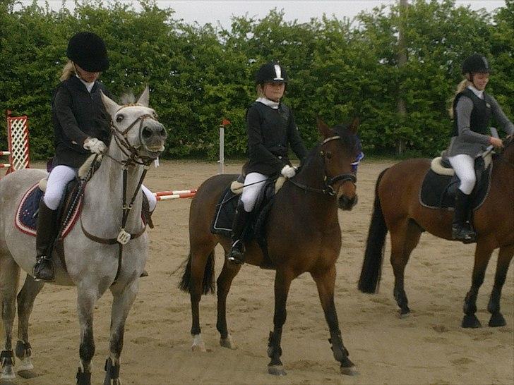 Svensk Sportspony  Ainée - Ainée og mig til vores 1.stævne i Revsø... Maj 2010 billede 3