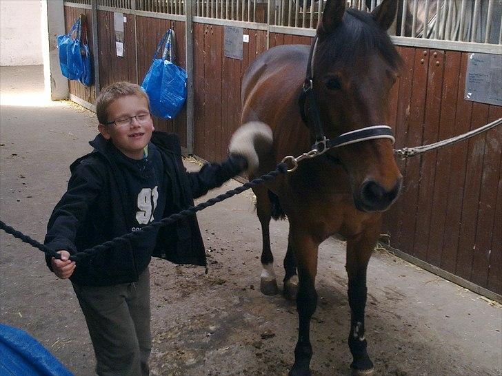 Svensk Sportspony  Ainée - Oliver ( min lillebror) og Ainée på DBR. billede 5