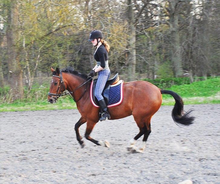 Anden særlig race Star - Fuld fart :P billede 8