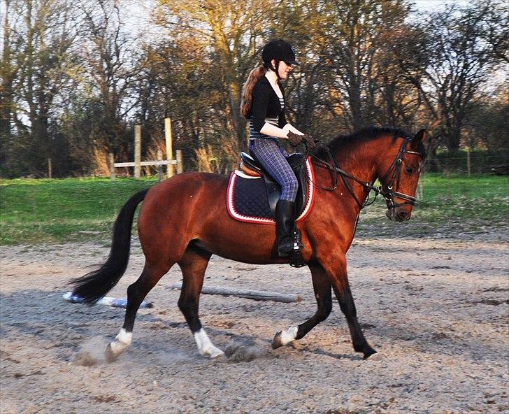 Anden særlig race Star - Smilla pigen <3 ;D billede 9