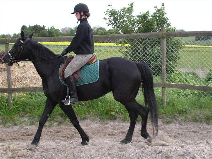 Traver Kamia billede 4