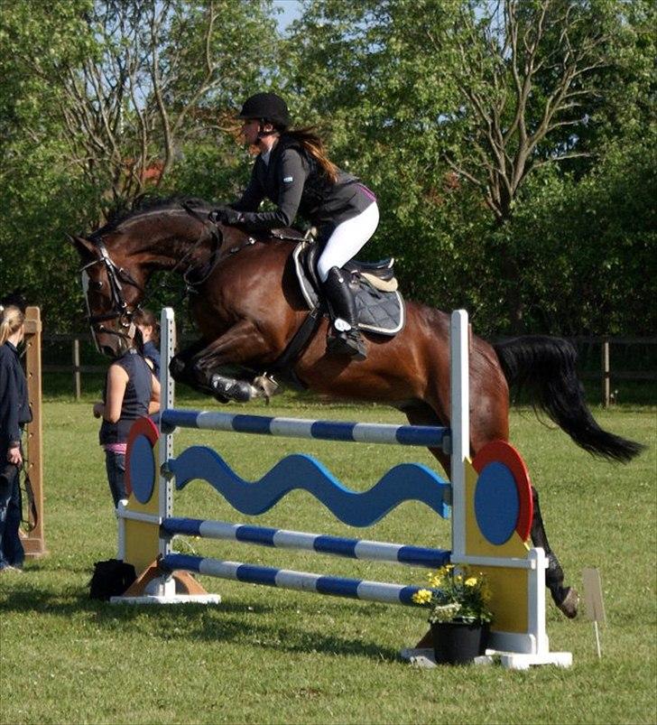 Anden særlig race Conan - Fejlfri LA i DRK :-) billede 16