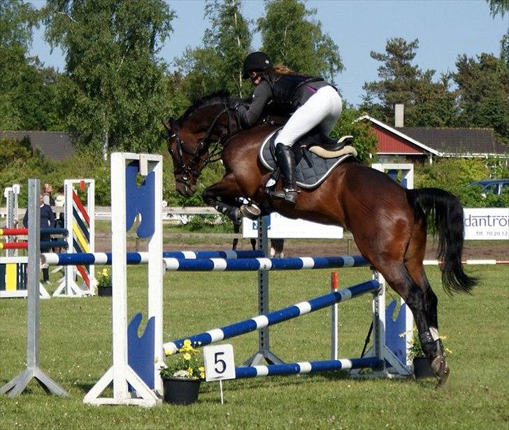 Anden særlig race Conan - Fejlfri LA i DRK :-) billede 17