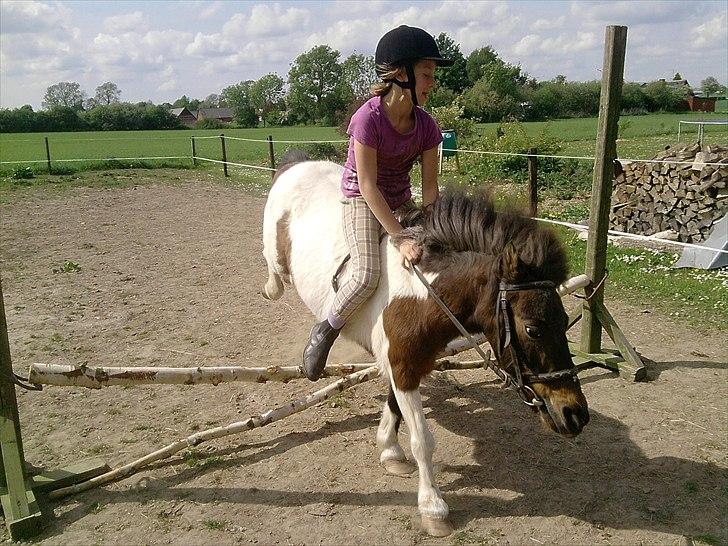 Anden særlig race Bubber R.i.P :'( billede 8