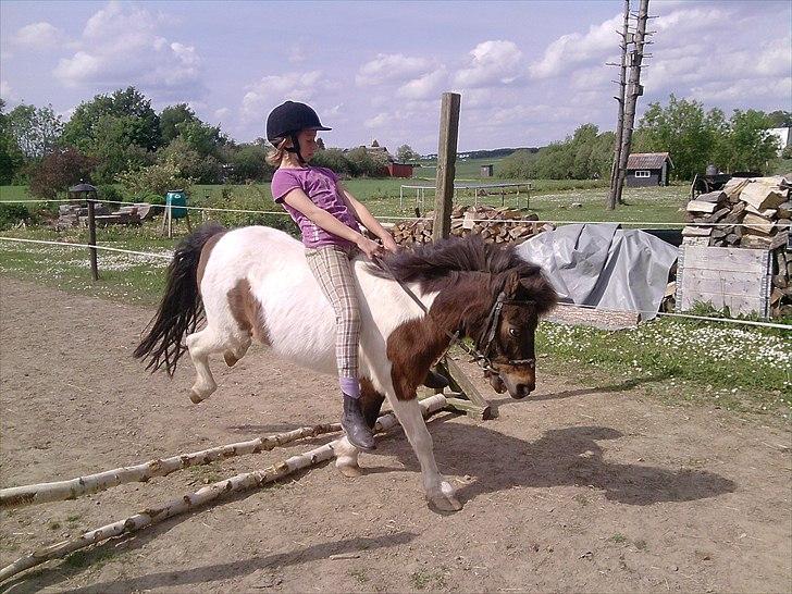 Anden særlig race Bubber R.i.P :'( billede 9