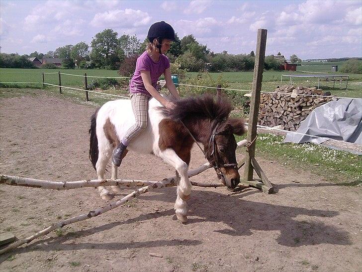 Anden særlig race Bubber R.i.P :'( billede 10