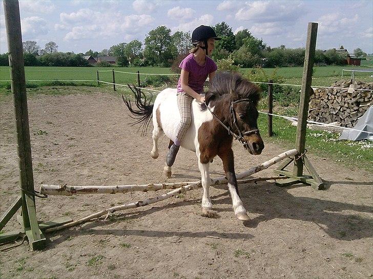 Anden særlig race Bubber R.i.P :'( billede 11