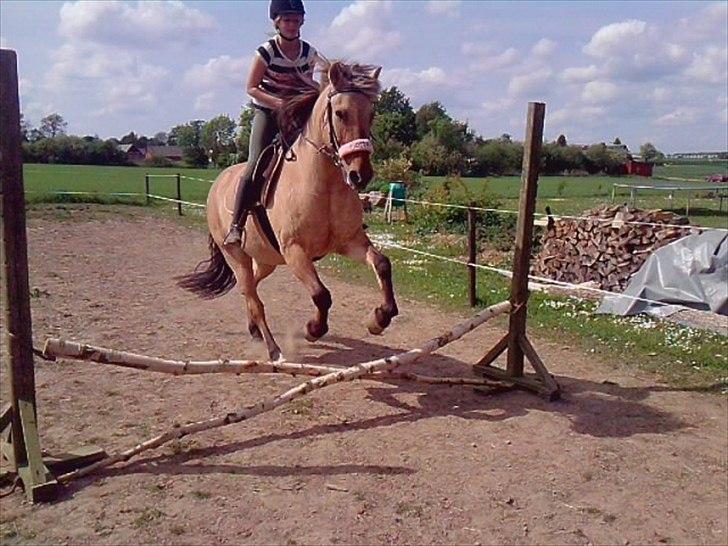 Anden særlig race Tikka - 3 gang vi springer på tøsen <3 billede 8