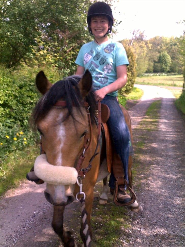 Welsh Partbred (Sec F) Tannes Bailey II blue..SOLGT - Bailey og Malthe på tur. Maj 2011 billede 20