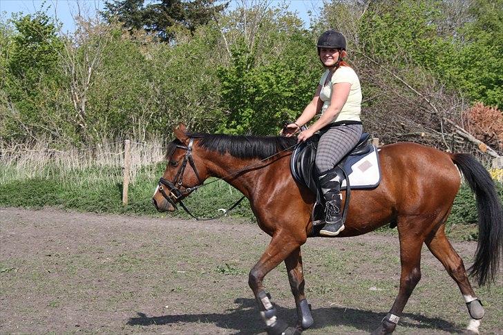 Anden særlig race Søndergårds Cavallie - Første gang jeg var oppe og prøve Cavallie :) billede 10