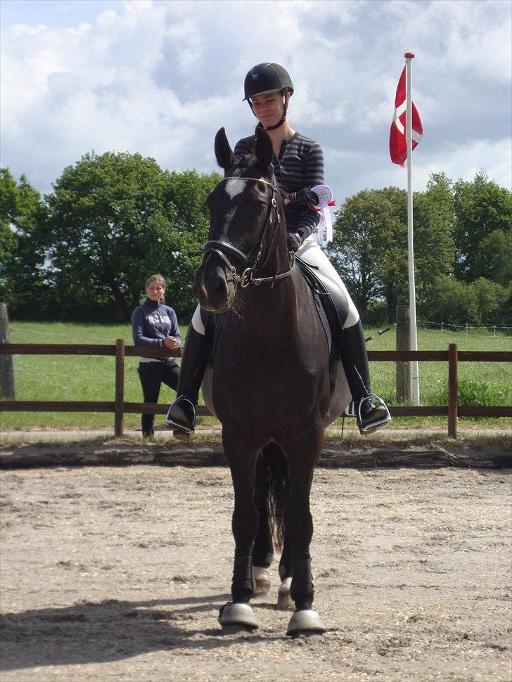 Oldenborg Larissha - såå fint (: - taget af min far. billede 15