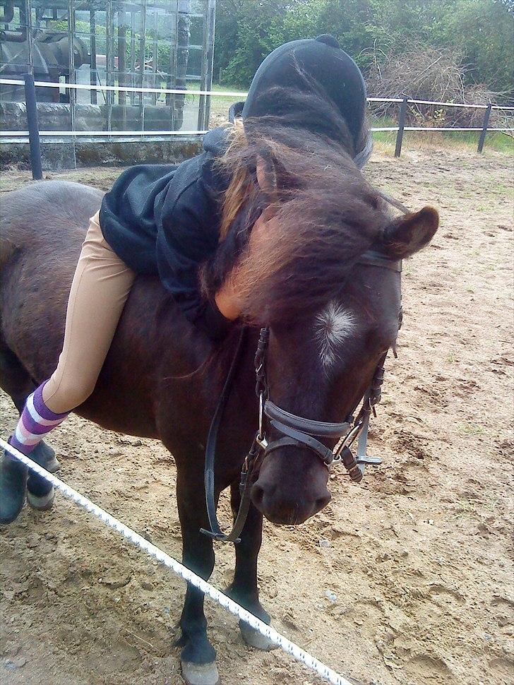 Anden særlig race Blackie - Caroline og Blackie  billede 8