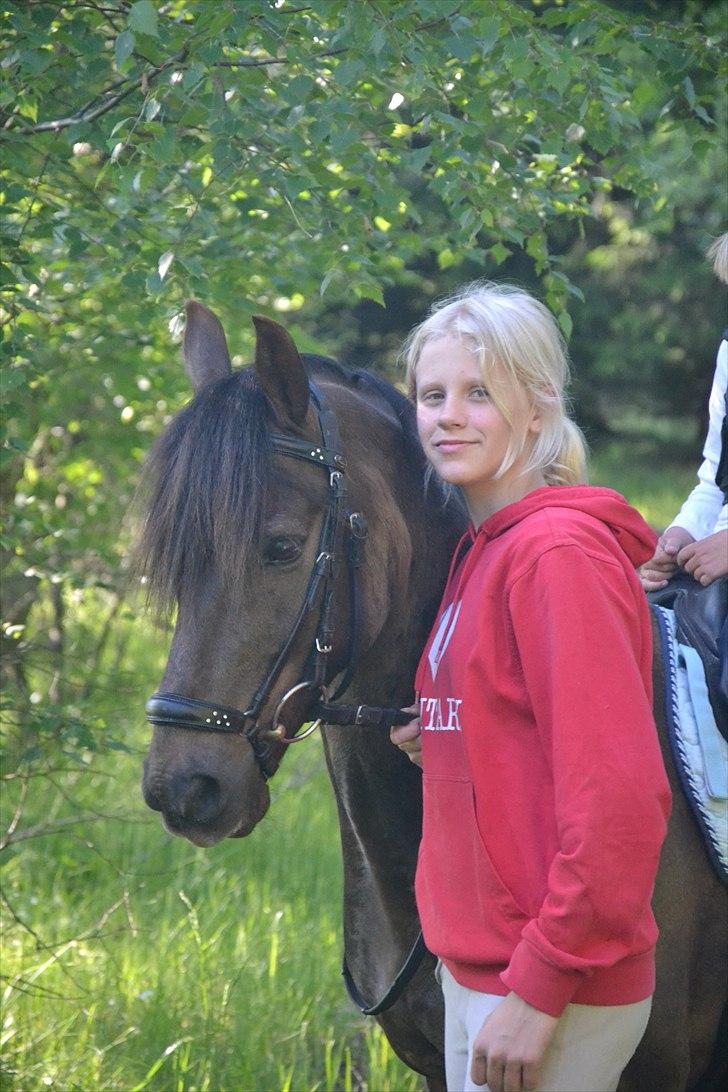 Svensk Sportspony  Cream<3/SOLGT!:-/ - I <3 YOU<3! billede 1