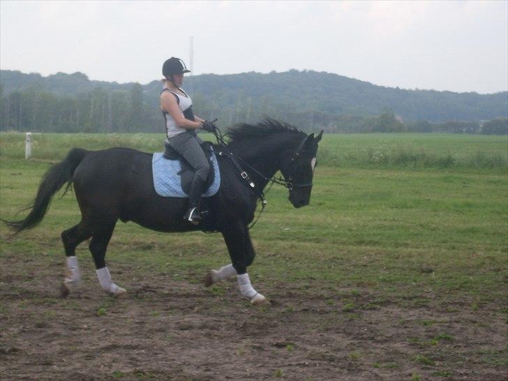 Oldenborg President billede 2