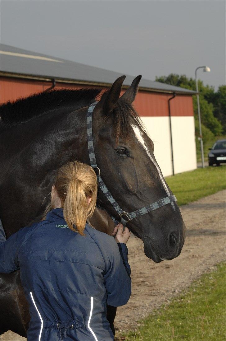 Oldenborg Max  - Max !<3 billede 1