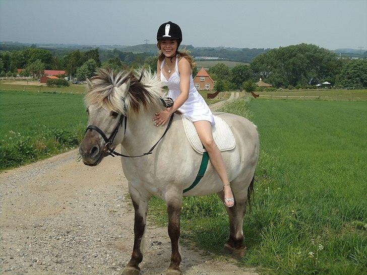 Fjordhest Filur <3 - til min komfirmation hvor han stod og ventede på mig ved vejen :)  billede 5