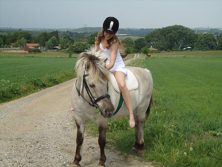 Fjordhest Filur <3 - til min konfirmation <3 billede 6