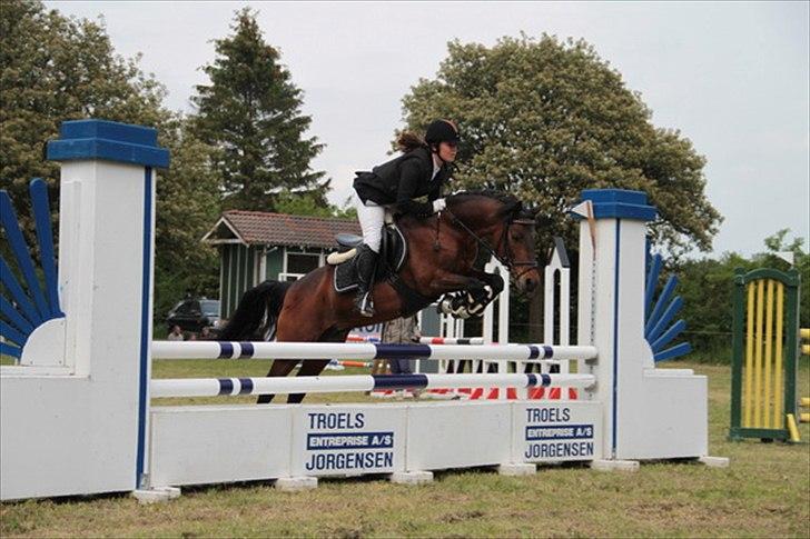 Connemara Camellia B-pony - Sølv til hold DM.  billede 8