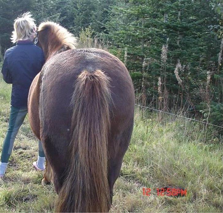 DSP Krumme UDLÅNT - Tak fordi du har brugt din tid inde på KrummeDrengen's profil. Du må gerne ligge en kommentar eller en bedømmelse. 
Ha' en god dag. billede 20