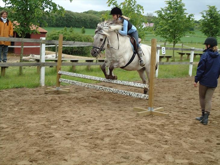 {{currentPhoto.altText}} billede {{currentPhoto.number}}