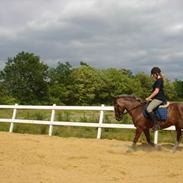 Anden særlig race Sandra [solgt/DØD] <3