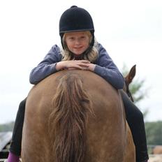 Anden særlig race Amanda