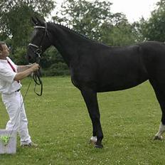Oldenborg Frederikke af Hvorvarp